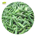 Bulk wholesale distribute IQF Frozen asparagus